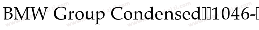 BMW Group Condensed梦祥1046字体转换